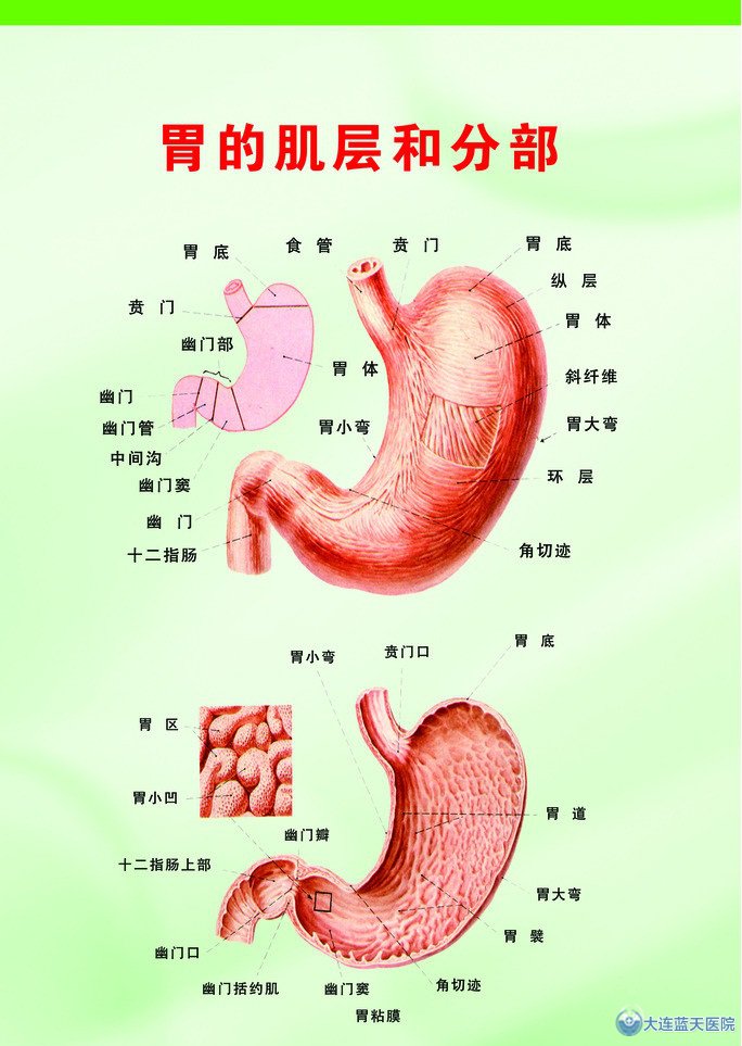 吃药的方法