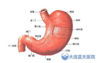 大连胃肠科医院：萎缩性胃炎危害有哪些？